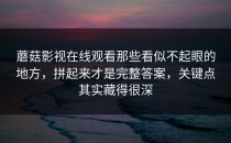 蘑菇影视在线观看那些看似不起眼的地方，拼起来才是完整答案，关键点其实藏得很深