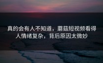 真的会有人不知道，蘑菇短视频看得人情绪复杂，背后原因太微妙