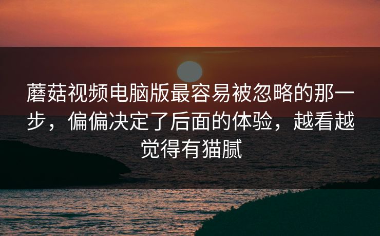 蘑菇视频电脑版最容易被忽略的那一步,偏偏决定了后面的体验,越看越觉得有猫腻 第1张 蘑菇视频电脑版最容易被忽略的那一步,偏偏决定了后面的体验,越看越觉得有猫腻 第1张