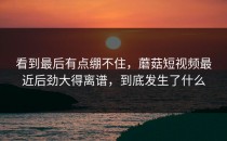 看到最后有点绷不住，蘑菇短视频最近后劲大得离谱，到底发生了什么
