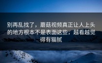 别再乱找了，蘑菇视频真正让人上头的地方根本不是表面这些，越看越觉得有猫腻