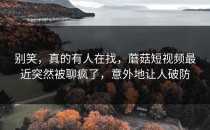 别笑，真的有人在找，蘑菇短视频最近突然被聊疯了，意外地让人破防