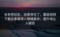 本来想划走，结果停住了，蘑菇视频下载这事看得人情绪复杂，意外地让人破防