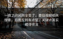 一夜之间风向全变了，蘑菇视频相关搜索，后面反转有点猛，关键点其实藏得很深