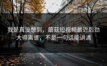 我是真没想到，蘑菇短视频最近后劲大得离谱，不是一句话能讲清