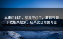 本来想划走，结果停住了，蘑菇视频下载相关搜索，结果比想象更夸张