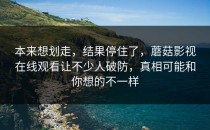 本来想划走，结果停住了，蘑菇影视在线观看让不少人破防，真相可能和你想的不一样