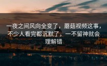 一夜之间风向全变了，蘑菇视频这事，不少人看完都沉默了，一不留神就会理解错