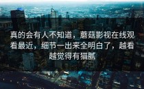真的会有人不知道，蘑菇影视在线观看最近，细节一出来全明白了，越看越觉得有猫腻