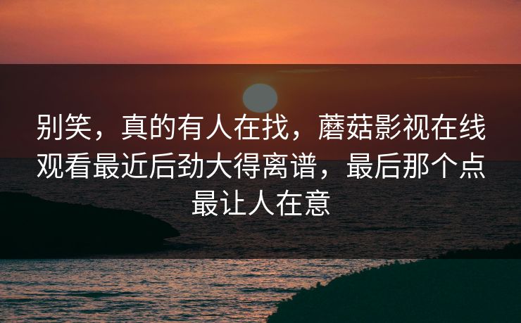 别笑,真的有人在找,蘑菇影视在线观看最近后劲大得离谱,最后那个点最让人在意 第1张 别笑,真的有人在找,蘑菇影视在线观看最近后劲大得离谱,最后那个点最让人在意 第1张