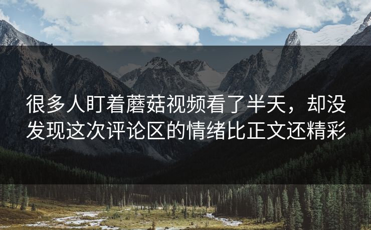 很多人盯着蘑菇视频看了半天,却没发现这次评论区的情绪比正文还精彩 第1张 很多人盯着蘑菇视频看了半天,却没发现这次评论区的情绪比正文还精彩 第1张