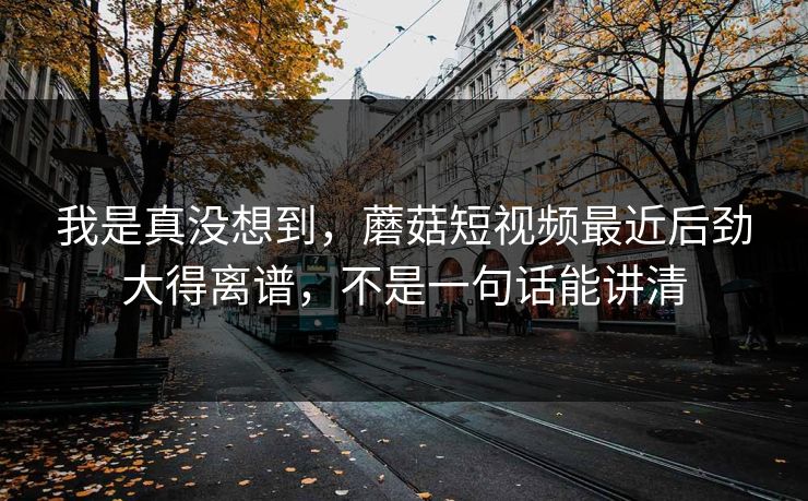 我是真没想到,蘑菇短视频最近后劲大得离谱,不是一句话能讲清 第1张 我是真没想到,蘑菇短视频最近后劲大得离谱,不是一句话能讲清 第1张