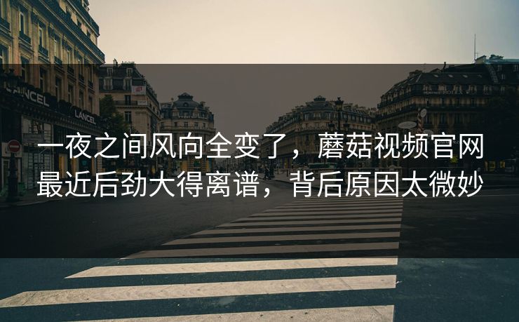 一夜之间风向全变了，蘑菇视频官网最近后劲大得离谱，背后原因太微妙
