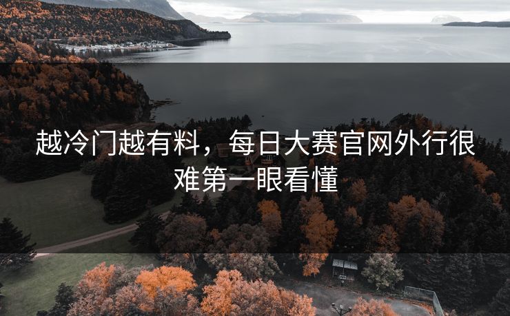 越冷门越有料，每日大赛官网外行很难第一眼看懂